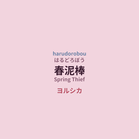 ヨルシカ (Yorushika) - 春泥棒/Spring Thief