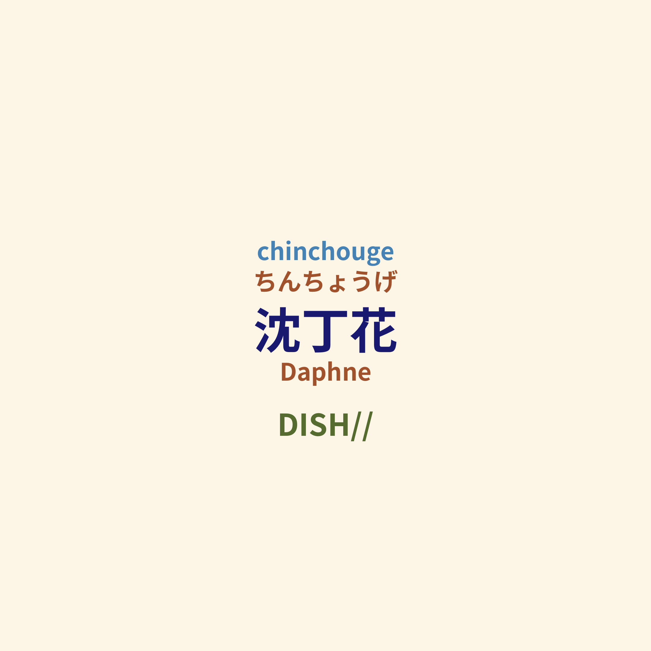 DISH// - 沈丁花/Daphne